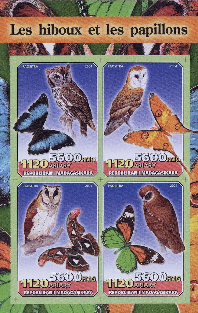 Butterflies and Owls