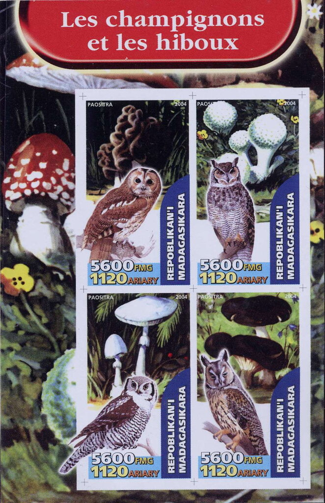 Mushrooms and Owls
