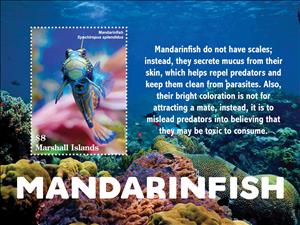 Souvenir Sheet, Mandarinfish, Marshall Islands,  , Animals (Fauna), Fishes, Sea Life