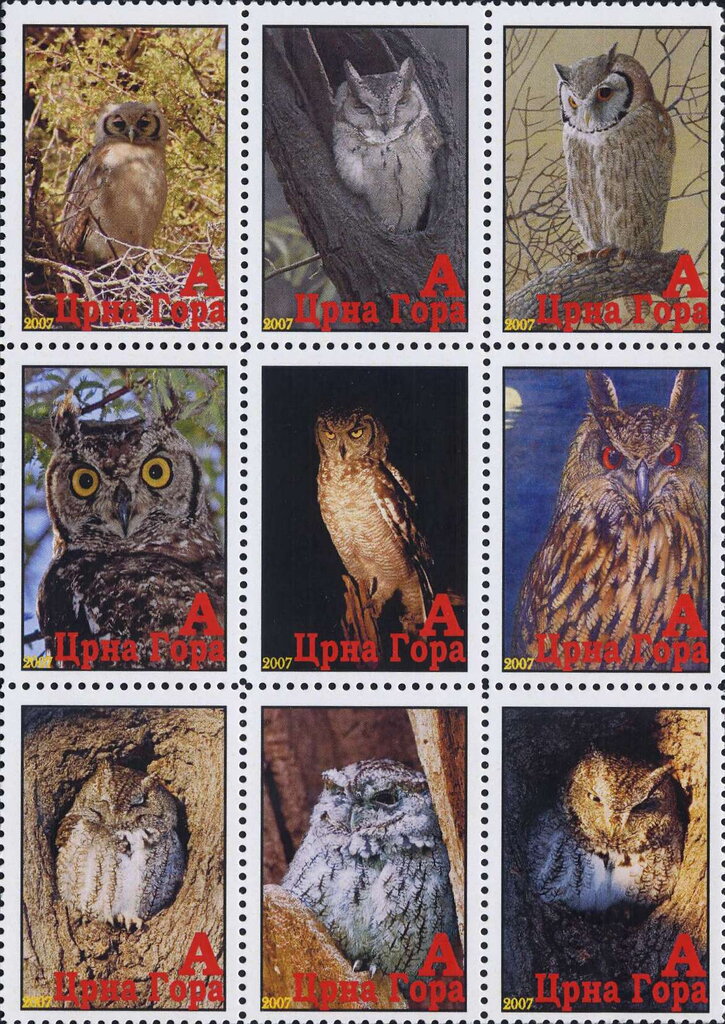 Owls