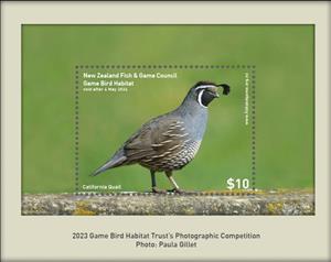 Souvenir Sheet, California quail (Callipepla californica), New Zealand,  , Animals (Fauna), Birds