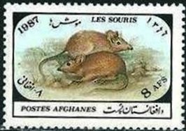 Mice
