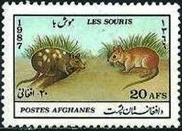 Stamp, Various mice, Afghanistan,  , Mice