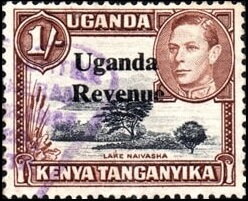 Lake Naivasha