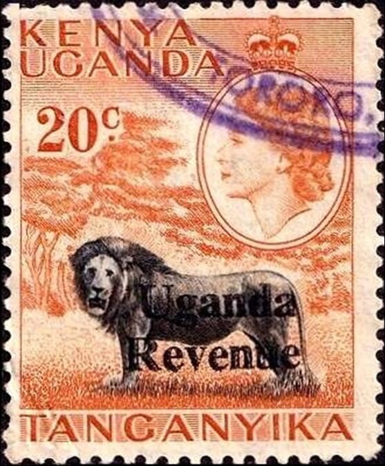 Lion (Panthera leo)