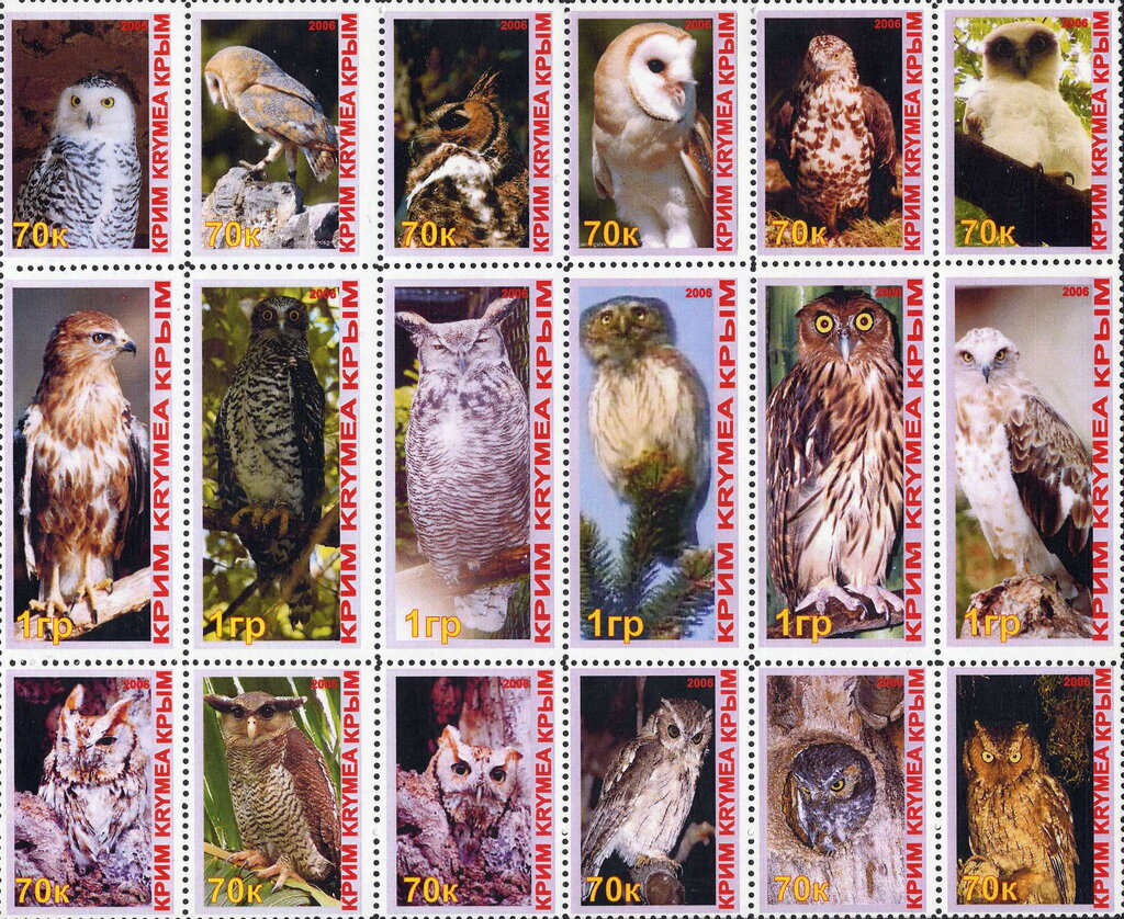 Owls