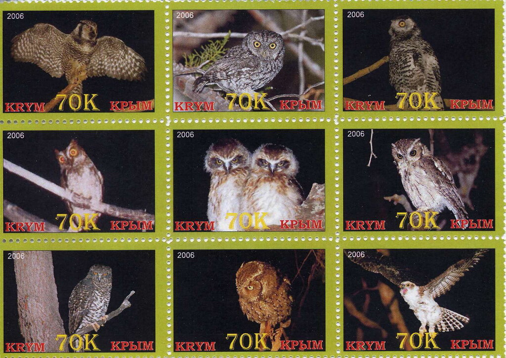 Owls