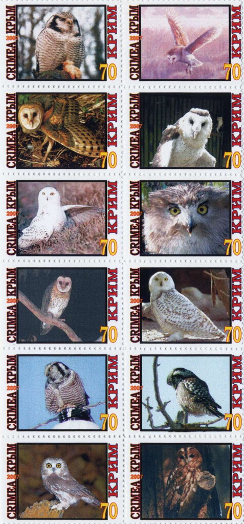 Owls