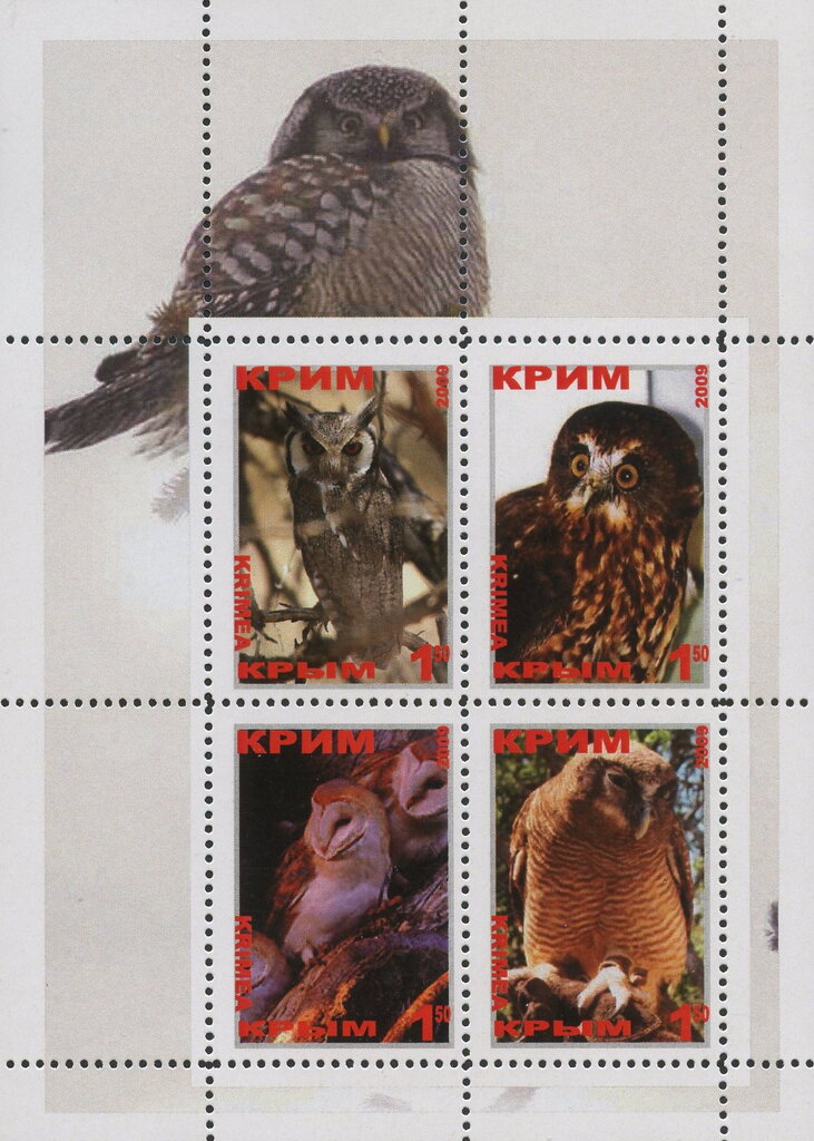 Owls