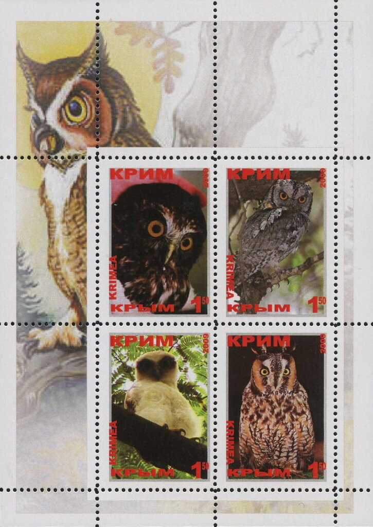 Owls