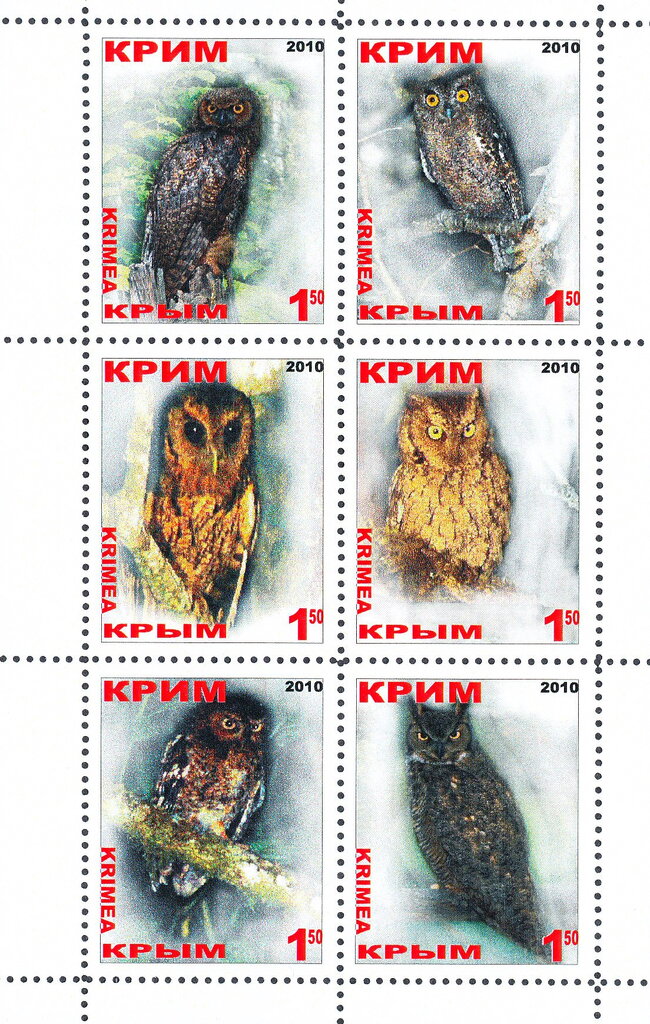 Owls
