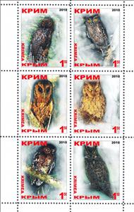 Mini Sheet, Owls, Ukraine,  , Animals (Fauna), Birds, Owls