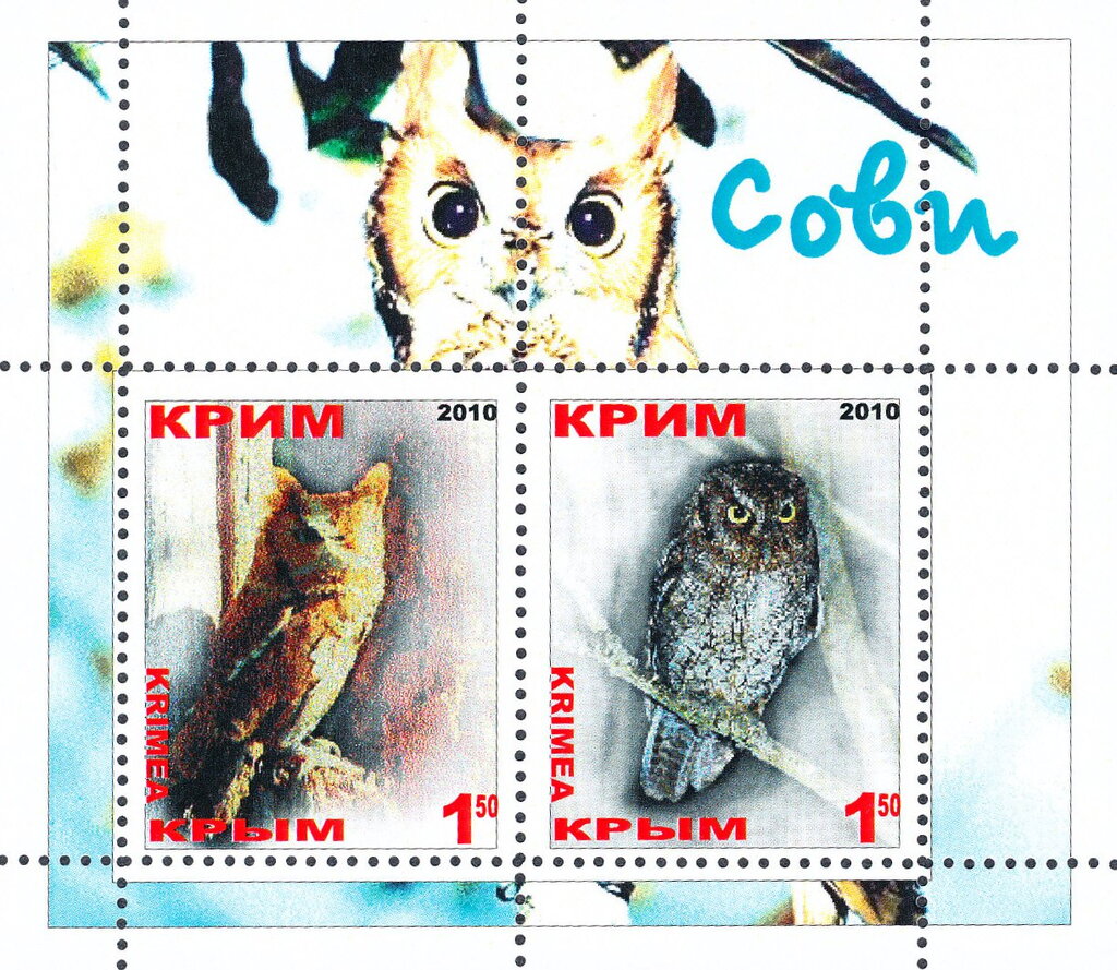 Owls