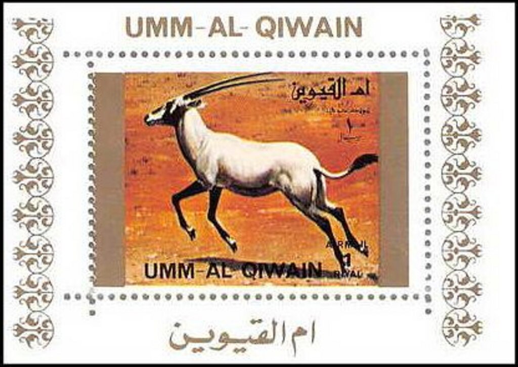 Arabian Oryx (Oryx leucoryx)