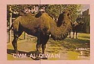 Stamp, Bactrian Camel (Camelus bactrianus), Umm al-Qiwain,  , Animals (Fauna), Camels, Mammals