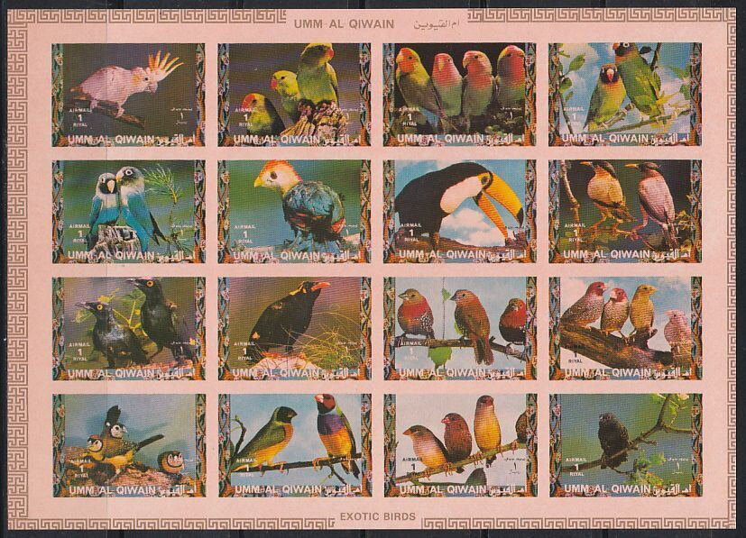 Birds; large format