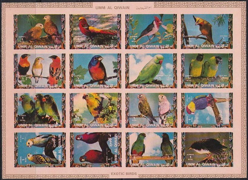 Birds: Parrots and Finches