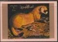 Black-footed Ferret (Mustela nigripes)