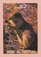 Black-tailed Prairie Dog (Cynomys ludovicianus)