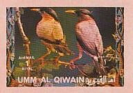 Stamp, Brahminy Starling (Sturnia pagodarum), Umm al-Qiwain,  , Animals (Fauna), Birds