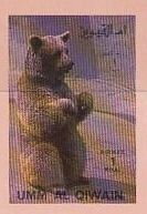Brown Bear (Ursus arctos)