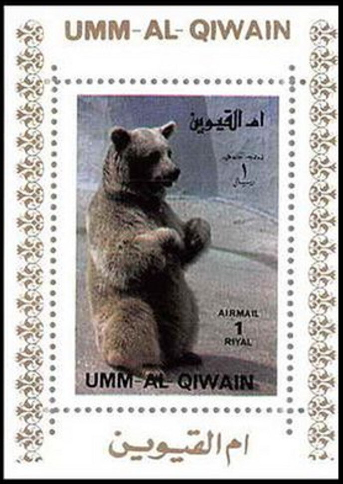 Brown Bear (Ursus arctos)