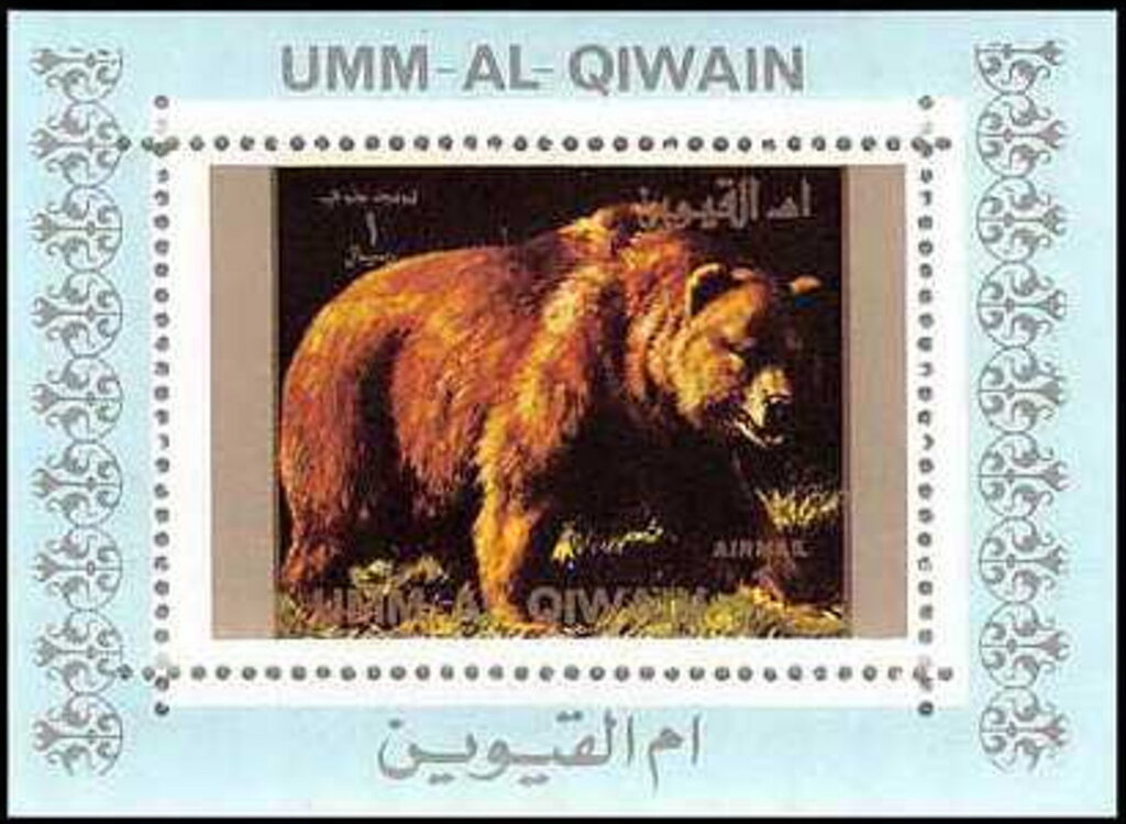 Brown Bear (Ursus arctos)