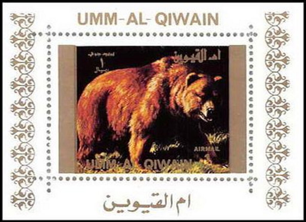 Brown Bear (Ursus arctos)