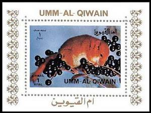 Souvenir Sheet, Common Dormouse (Muscardinus avellanarius), Umm al-Qiwain,  , Animals (Fauna), Mammals, Mice, Rodents