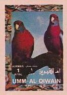 Crimson Rosella (Platycercus elegans)