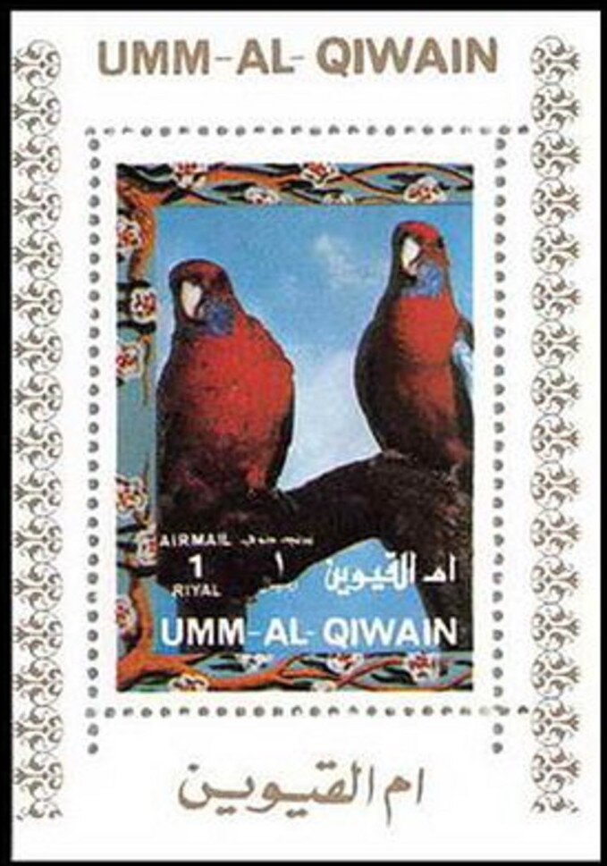 Crimson Rosella (Platycercus elegans)