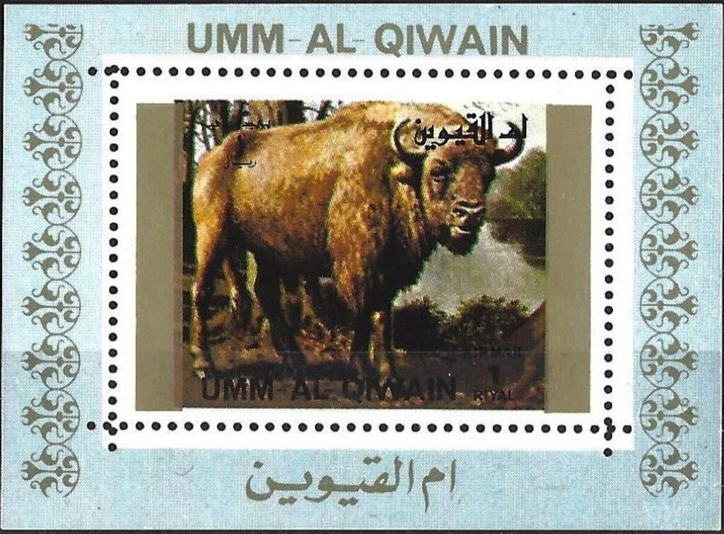 European Bison (Bison bonasus)