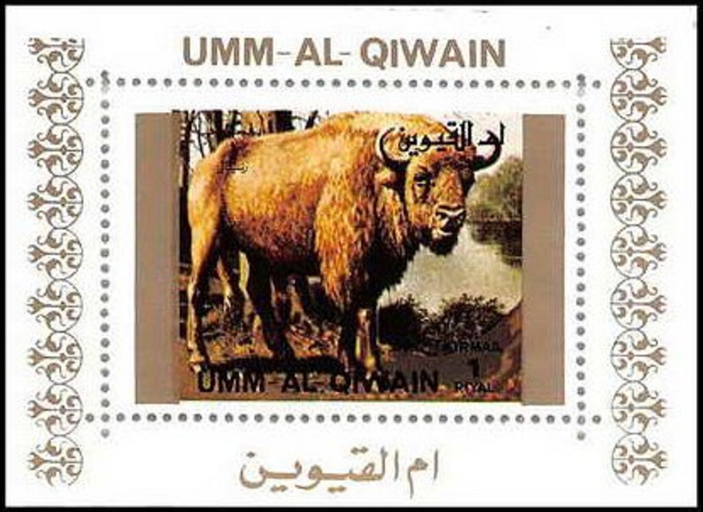 European Bison (Bison bonasus)