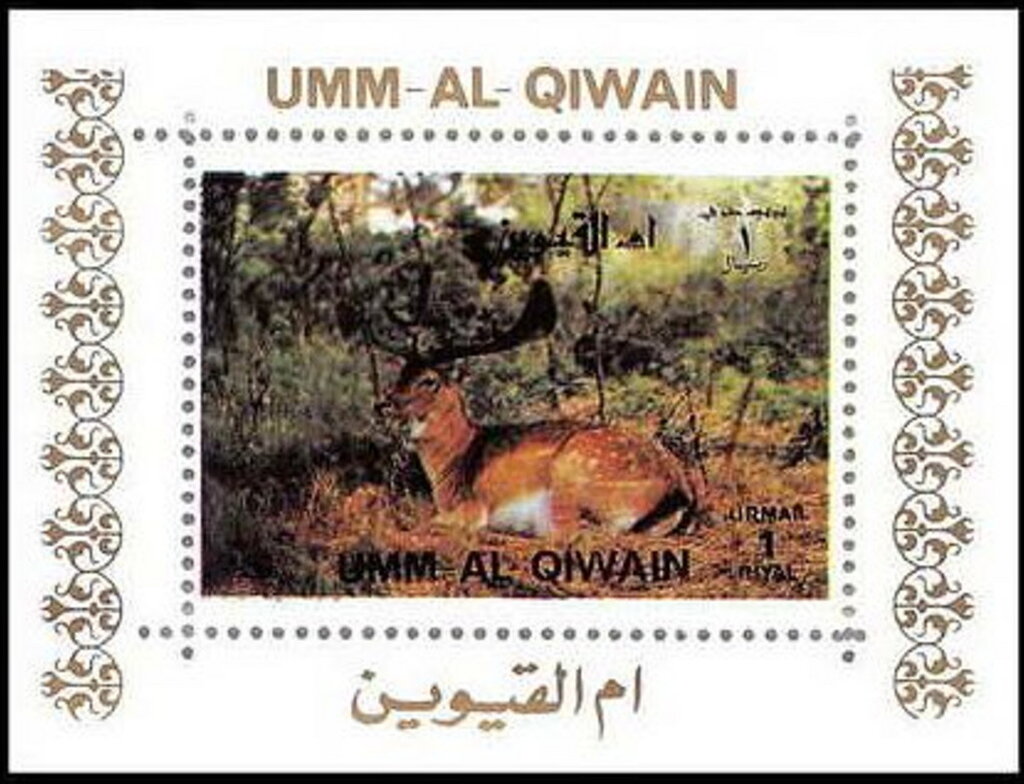 Fallow Deer (Dama dama)