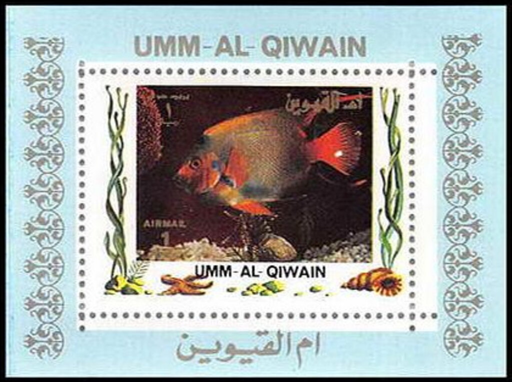 Fish