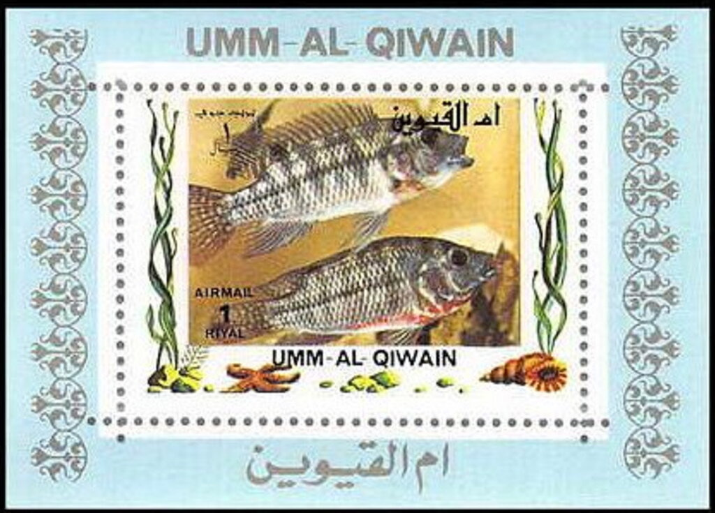 Fish