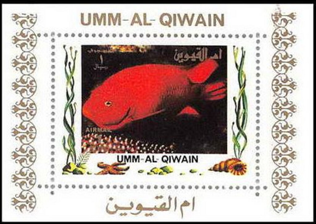 Fish