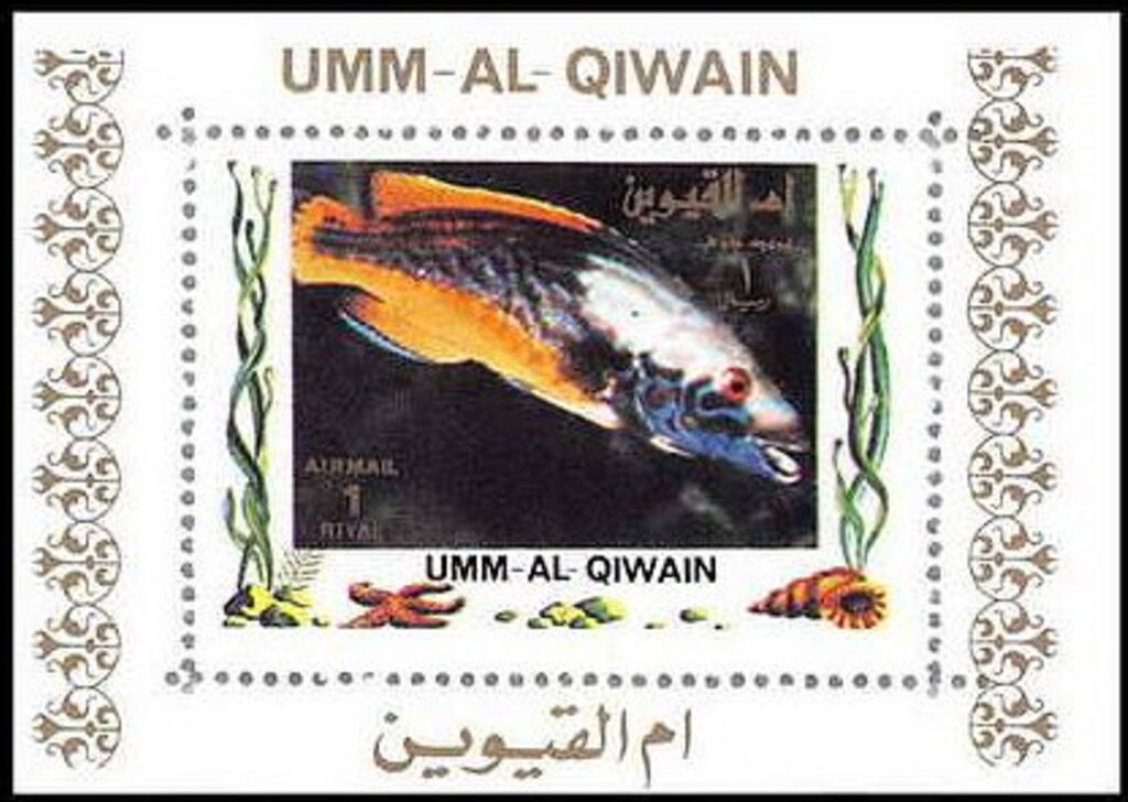 Fish
