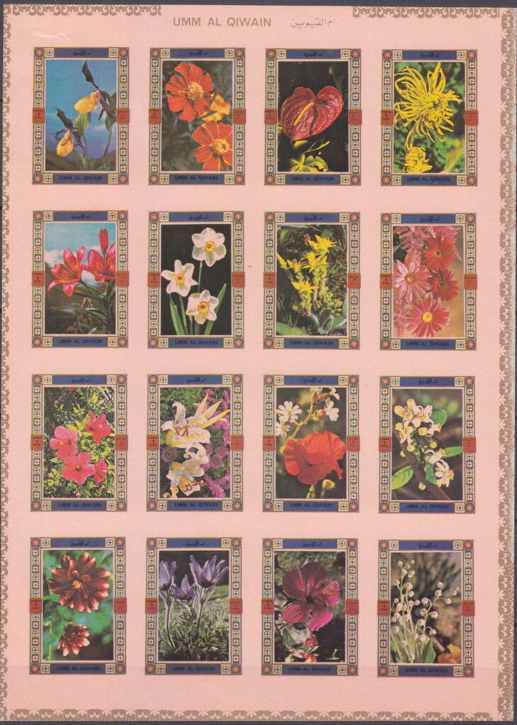 Flowers, large format