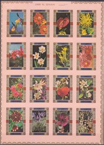 Stamp, Flowers, large format, Umm al-Qiwain,  , Flowers, Orchids, Plants (Flora)