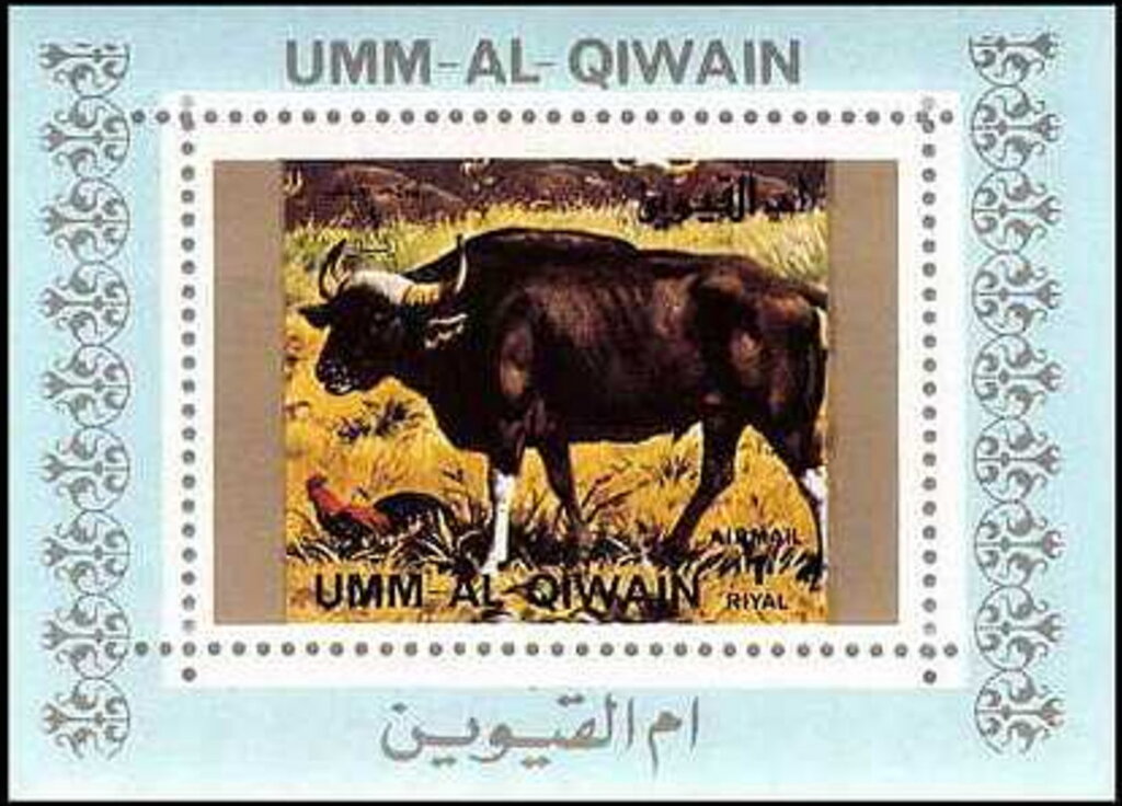 Gaur (Bos gaurus)