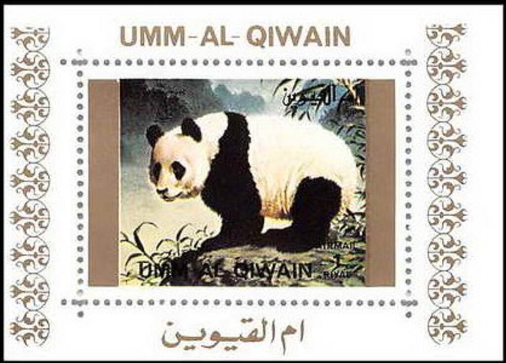 Giant Panda (Ailuropoda melanoleuca)