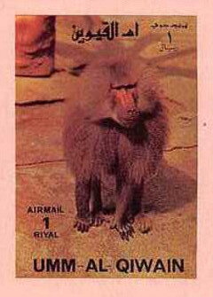 Stamp, Hamadryas Baboon (Papio hamadryas), Umm al-Qiwain,  , Animals (Fauna), Mammals, Monkeys