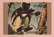 Indri (Indri indri)