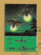 Insects