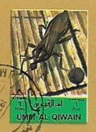 Insects
