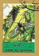 Insects