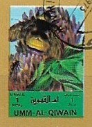 Insects