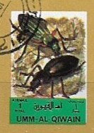 Insects