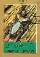 Insects